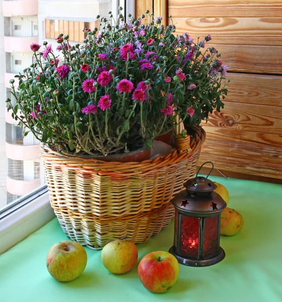Balkon bir sonbahar dekorasyonu — Stok fotoğraf