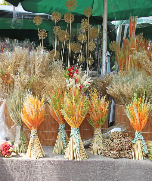 Decorative Ukrainian traditional reap