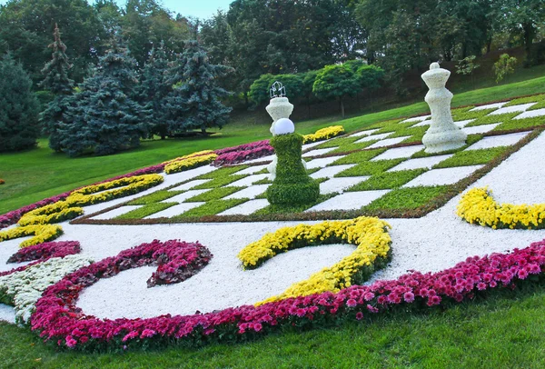 Chess figures from chrysanthemums in a landscape park — Stock Photo, Image