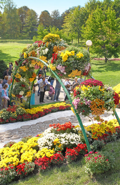 Flower arrangement on the holiday of chrysanthemums