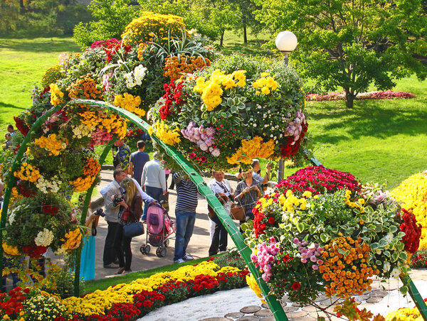 Flower arrangement on the holiday of chrysanthemums