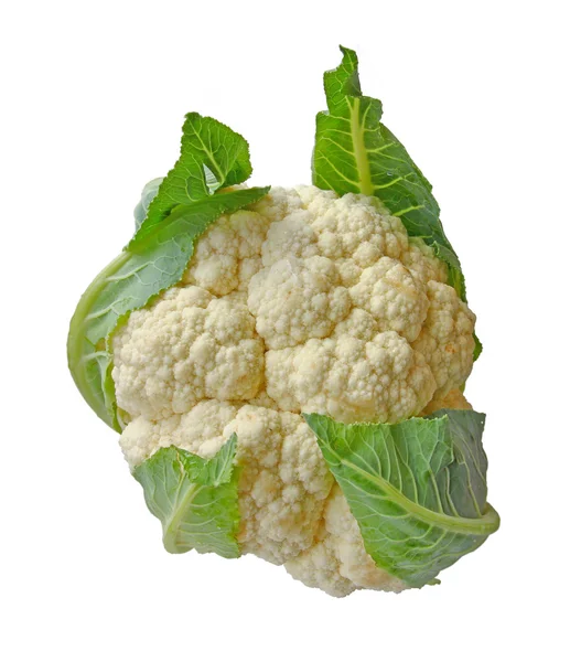 Coliflor sobre fondo blanco — Foto de Stock