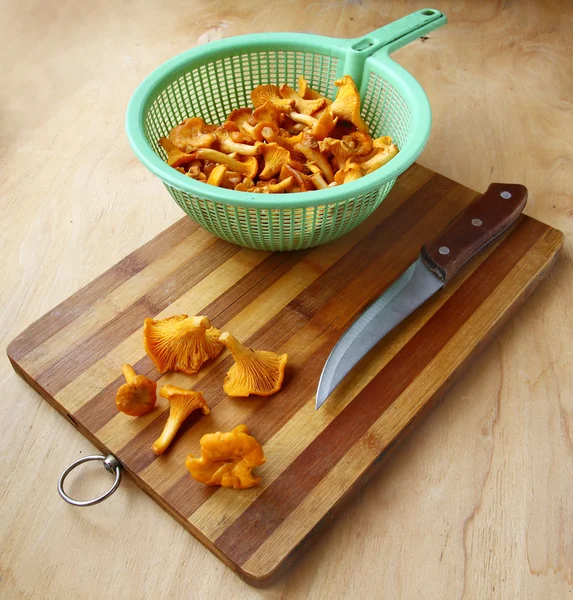 Mushrooms of chanterelle — Stock Photo, Image