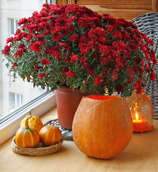 Ontwerp van balkon vooravond van vakantie op halloween. — Stockfoto