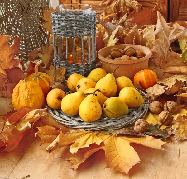 Autumn harvest of pears, nuts and pumpkins — Stock Photo, Image