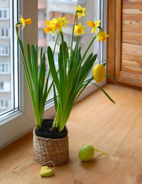 Narcissuses ve bir pencere üzerinde Paskalya yumurtaları — Stok fotoğraf