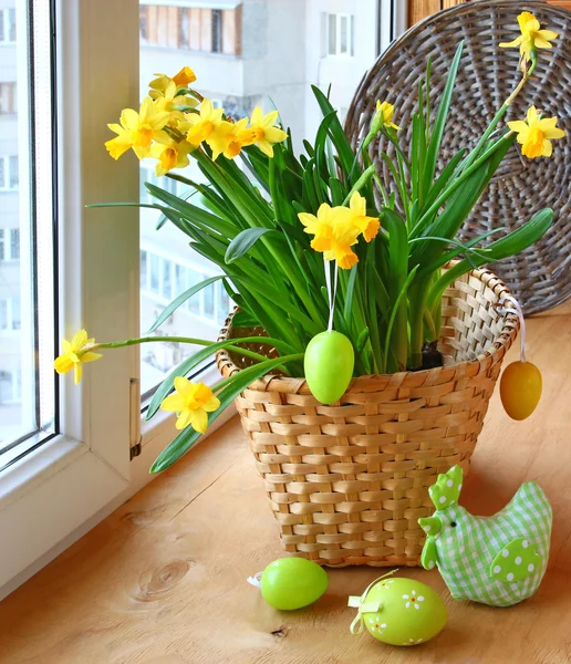 Easter decoration window blooming daffodils and easter eggs — Stock Photo, Image