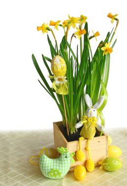 narcissuses beyaz bir arka plan üzerinde bir easters dekorlar ile ISO vardır.
