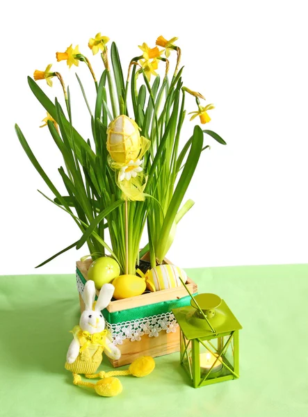 Narcissus with an easters happy rabbit and egg — Stock Photo, Image