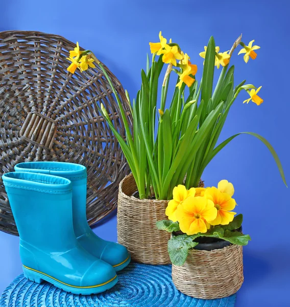 Blau Gummi Gummistiefel und Frühling Blumen im Korb — Stockfoto