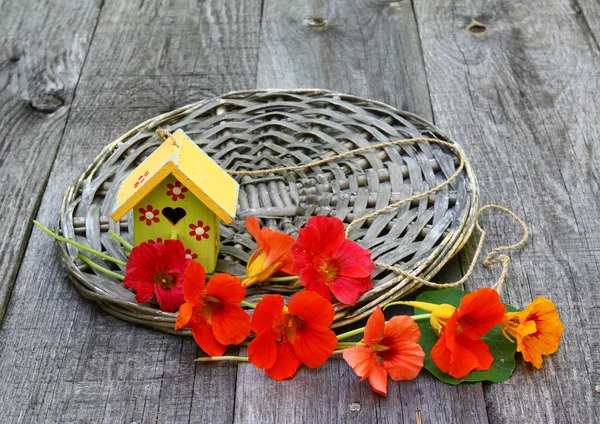 Estate natura morta con fiori nasturzio su un tavolo di legno — Foto Stock