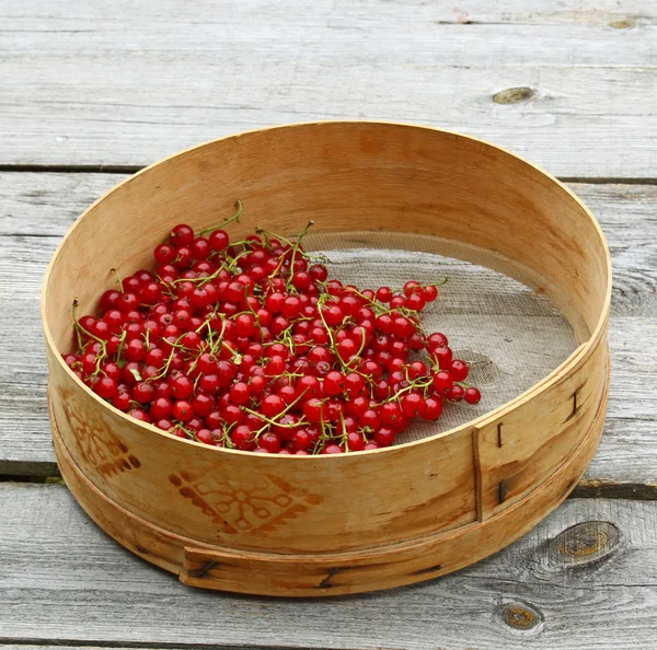 Corinto vermelho em uma peneira em uma mesa de madeira — Fotografia de Stock
