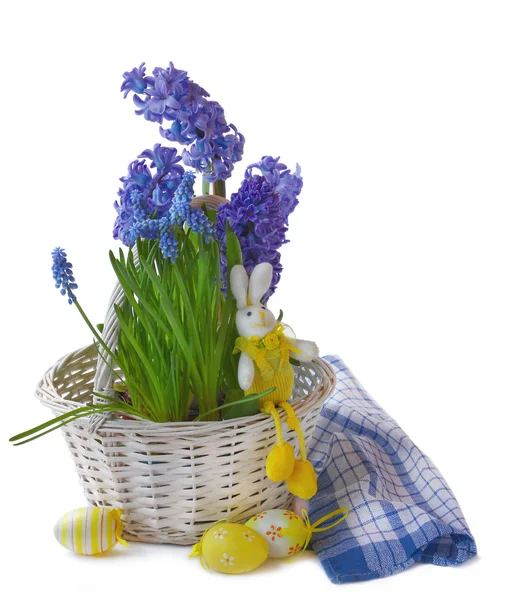 Hyacint, muscari met een easters konijn en ei in een witte bas — Stockfoto