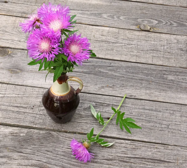 Bouquet of purple cornflowers — Stock Photo, Image