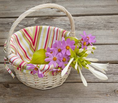 hosta ve cosmos sepet içinde bir buket