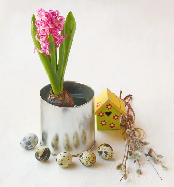 Easter still life with the pink hyacinth — Stock Photo, Image