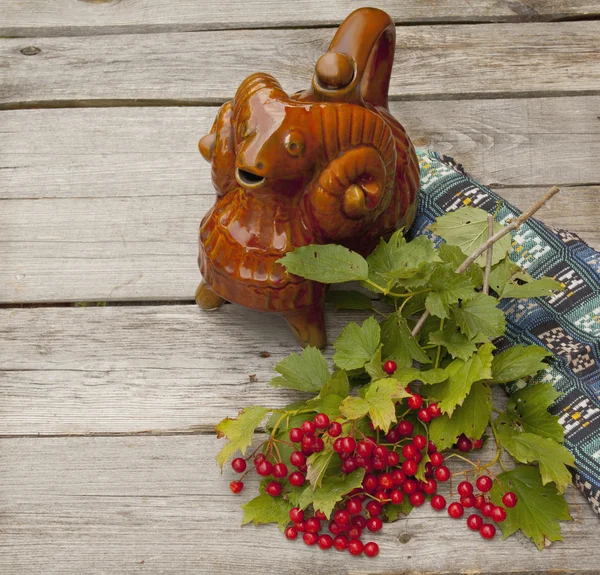 A branch of viburnum on a wooden table. — Stock Photo, Image