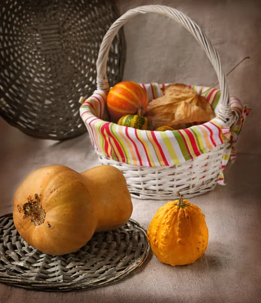 Cosecha de calabazas en un fondo de un lienzo — Foto de Stock