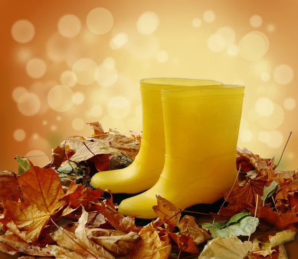 Two yellow gumboots standing in fallen leaves — Stock Photo, Image