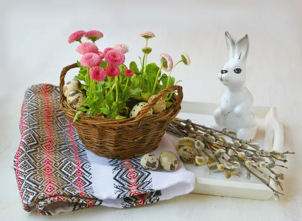 Pâques nature morte avec des branches de saule et de marguerites roses — Photo