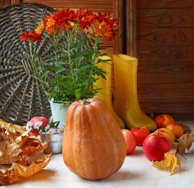 kabak, elma ve sarı gumboots ile sonbahar natürmort