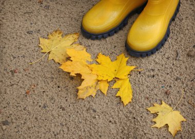 iki sarı gumboots ve düşen sarı yapraklar