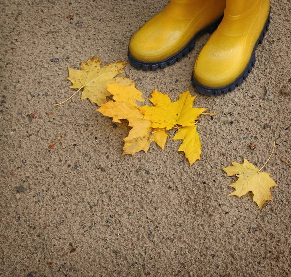 Dois gumboots amarelas e folhas amarelas caídas — Fotografia de Stock