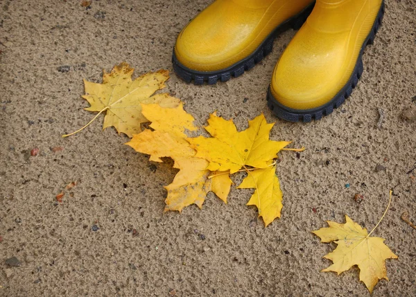 Dois gumboots amarelas e folhas amarelas caídas — Fotografia de Stock