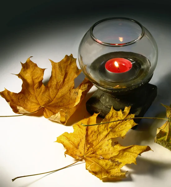 Linterna vintage con una vela al lado de las hojas —  Fotos de Stock