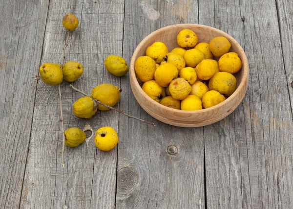 Colher marmelo japonês (chaenomeles japonica) — Fotografia de Stock