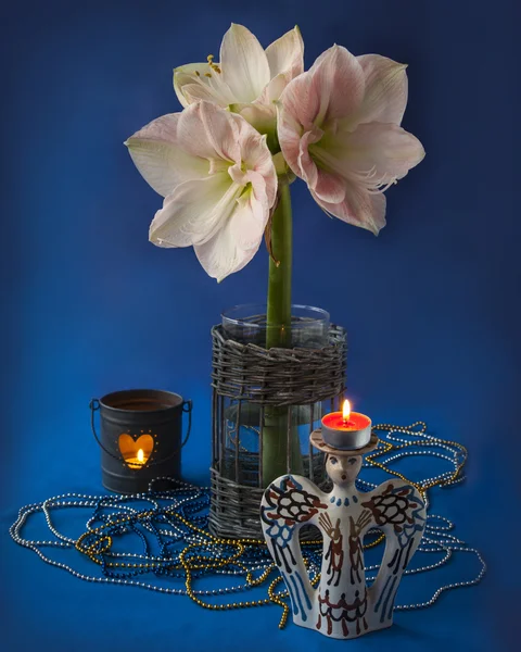 Weihnachten mit Hippeastrum — Stockfoto