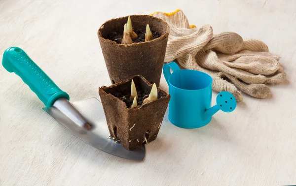 Spring still life with peat pots and gardening gloves — Stock Photo, Image