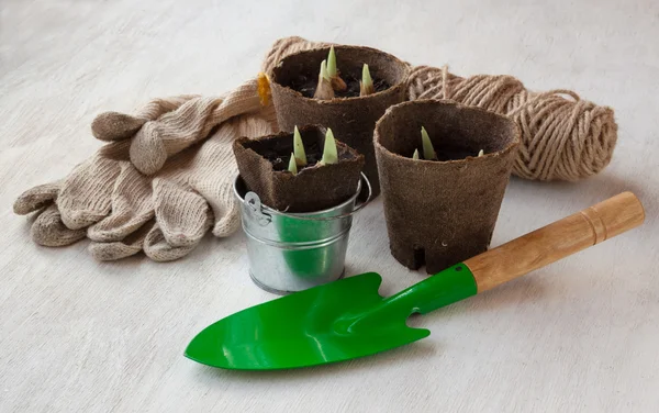 Jardin nature morte avec des pots de tourbe et de gants — Photo