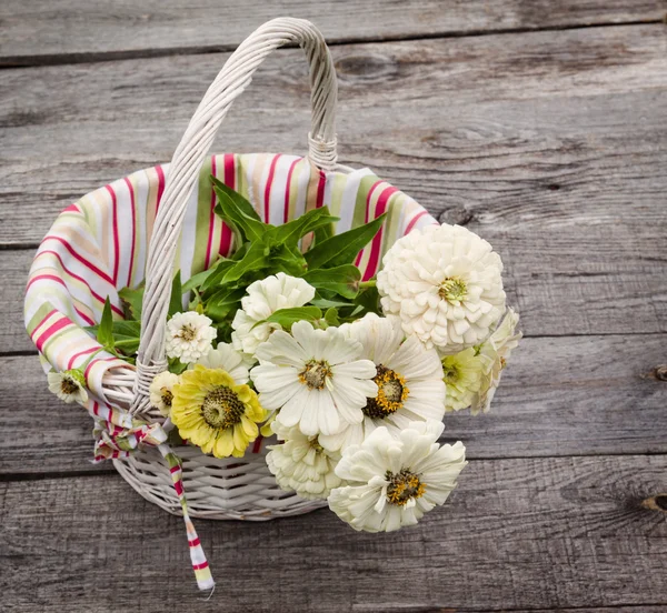 Bouquet of white zinnia — Stock Photo, Image