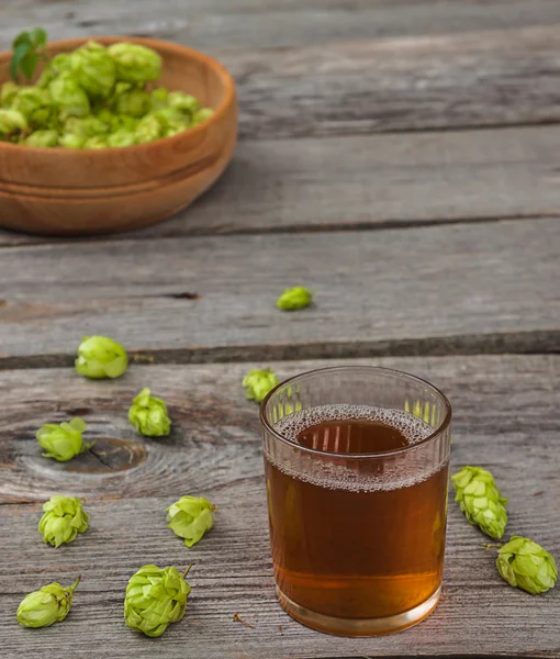 Harvest of hops and drink — Stock Photo, Image