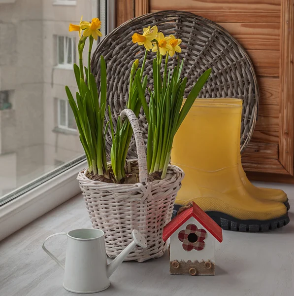 Daffodils on the window and yellow gumboots — Stock Photo, Image