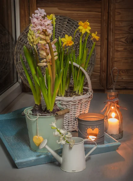 Rosa Hyazinthen und Narzissen im Fenster — Stockfoto