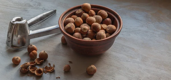 Herramienta cascanueces y avellanas — Foto de Stock