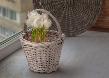 sepet içinde beyaz Çiğdem