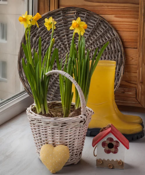 Narcisos amarillos en una cesta y un corazón — Foto de Stock