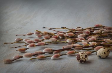 Kukum ve bıldırcın yumurtası