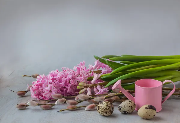 Růžový hyacinth, větvičky vrby a křepelčí vejce — Stock fotografie