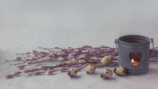 Kukum ve bıldırcın yumurtası — Stok fotoğraf