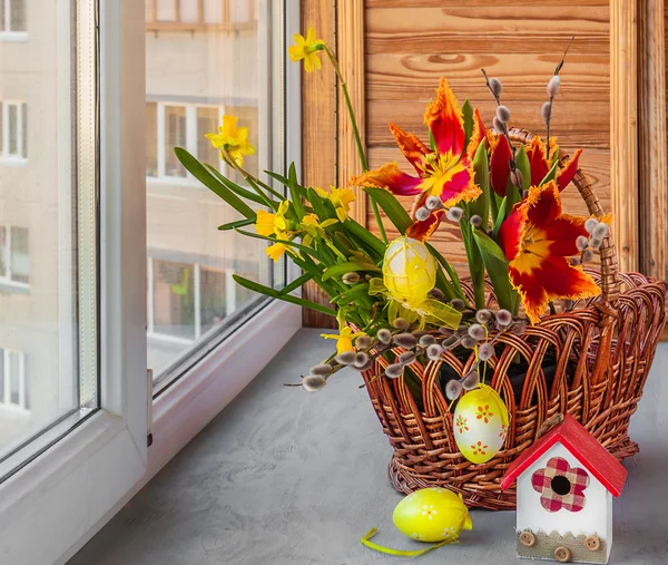 Tulips and daffodils — Stock Photo, Image