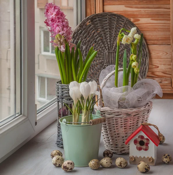 Lentetuin op het balkon — Stockfoto