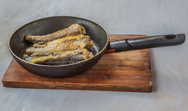 Two frozen carcass of hake — Stock Photo, Image