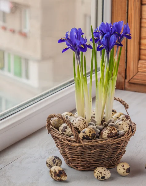 Iris en una cesta — Foto de Stock