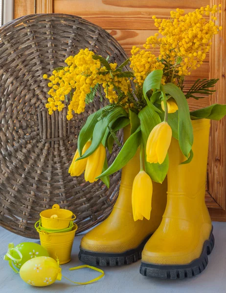 Mimosa and tulips in yellow boots — Stockfoto