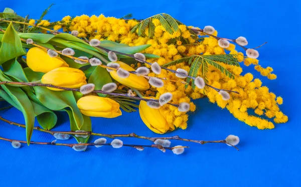 Tulpen en mimosa — Stockfoto