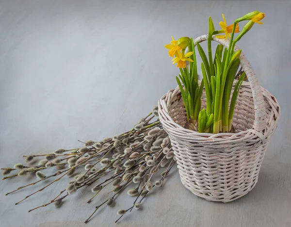Daffodils in a basket — Stock Photo, Image